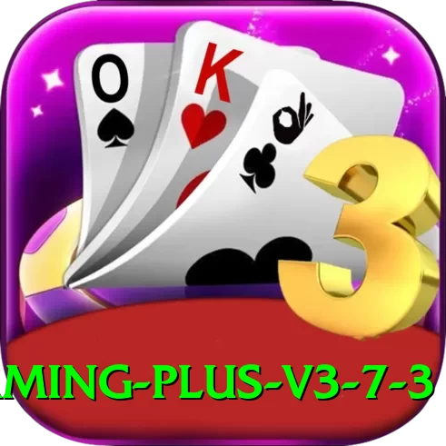 E2Bet Game Gaming Plus v3.7.3 - 2